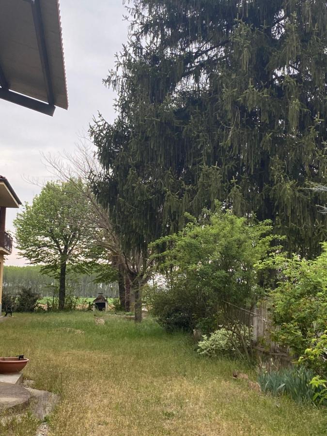 Bilocale Immerso Nel Verde Oviglio Exterior foto